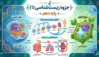 جزوه زیست دهم(فصل دوم)